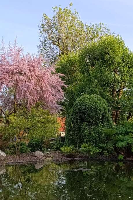 Rendez-vous aux jardins - Jardin Scie'lvain
