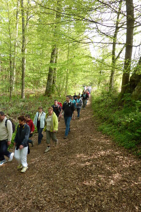 Randonnée gourmande avec visite du Parc Canadien