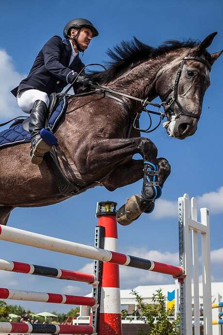 Concours national de saut d'obstacles