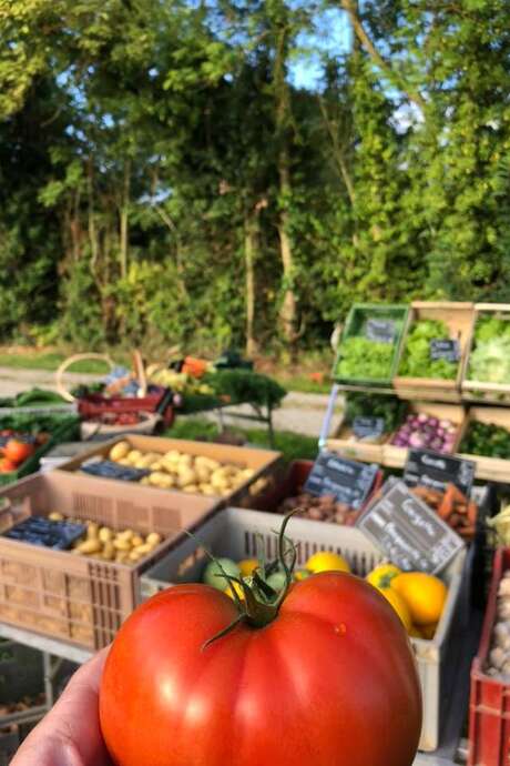 Exposition : au jardin potager