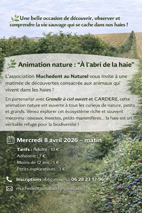 Animation nature : "A l'abri de la haie"