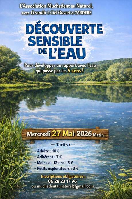 Découverte sensible de l'eau