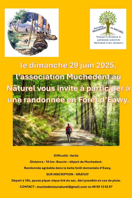 Randonnée en Forêt d'Eawy