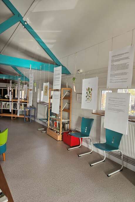 Exposition : les plantes sauvages