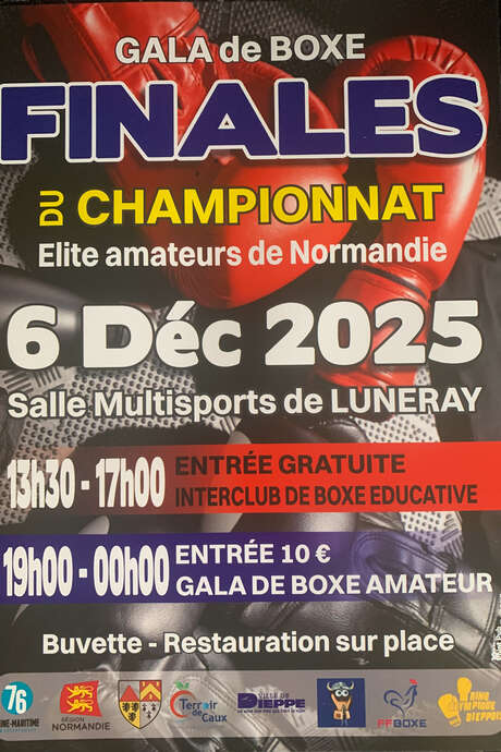 Gala de Boxe : Finales du championnat