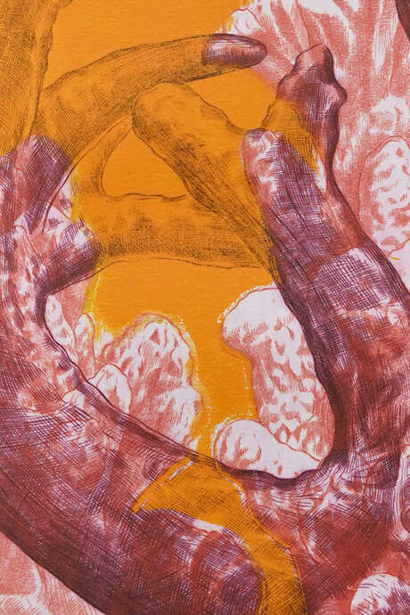 [Exposition temporaire] Mer Sans Fond