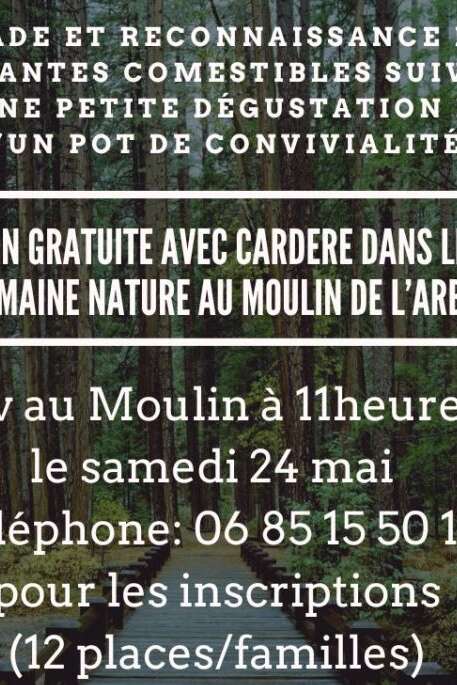 Balade et reconnaissance des plantes comestibles - Semaine de la nature au Moulin de l'Arbalète