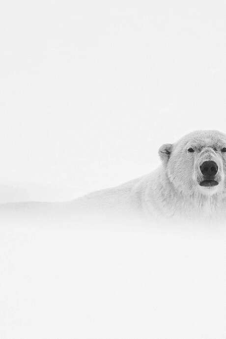 "[Exposition photos et sculptures] Olivier larrey et Patrick M. Dassargues"