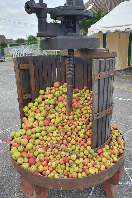 Fête de la Pomme