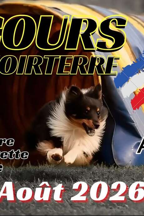 Concours d'agility