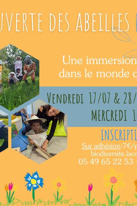 Découverte des abeilles en famille