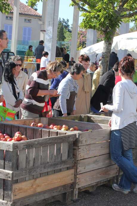 Marché de Cerizay