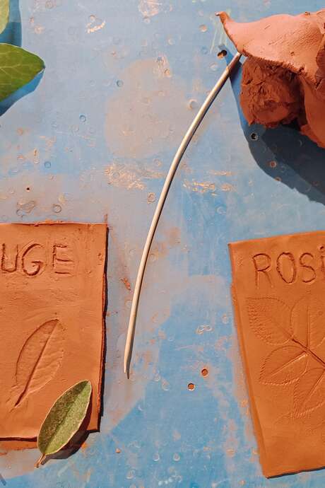 Atelier Enfant "Herbier d'Argile"
