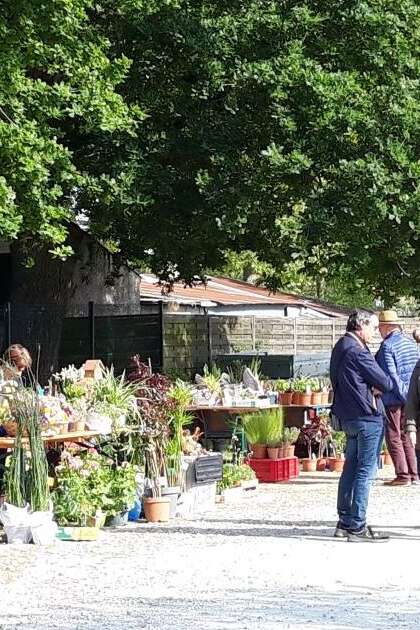 VIDE JARDIN LEGÉ