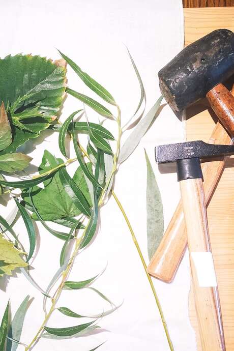 ATELIER FAMILLE "Empreintes végétales"