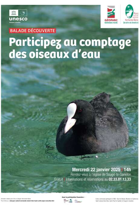 Balade découverte : comptage des oiseaux d'eau