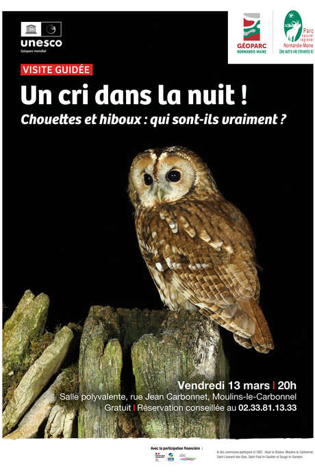 Visite guidée "Un cri dans la nuit"