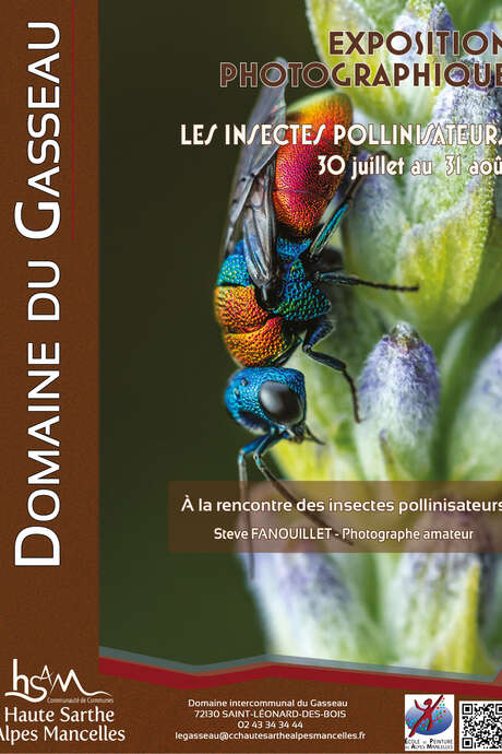 Exposition "Les insectes pollinisateurs"