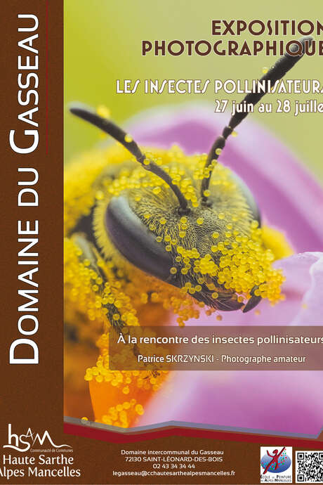 Exposition "Les insectes pollinisateurs"