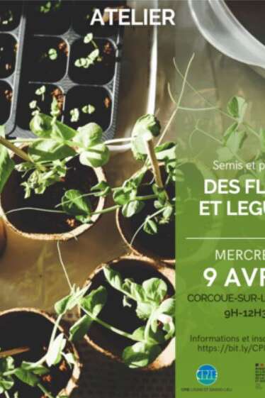 ATELIER SEMIS ET PLANTATIONS AU JARDIN DES FLEURS ET DES LEGUMES