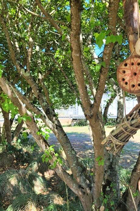 Atelier un hôtel pour les insectes