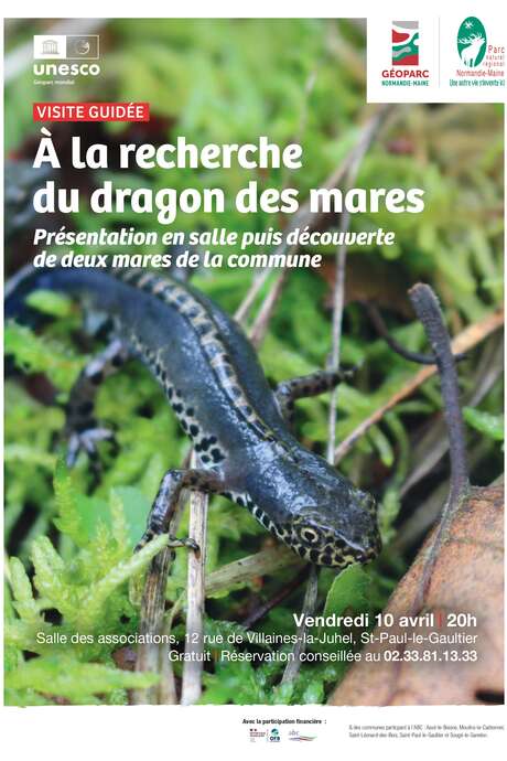 Visite "à la recherche du dragon des mares"