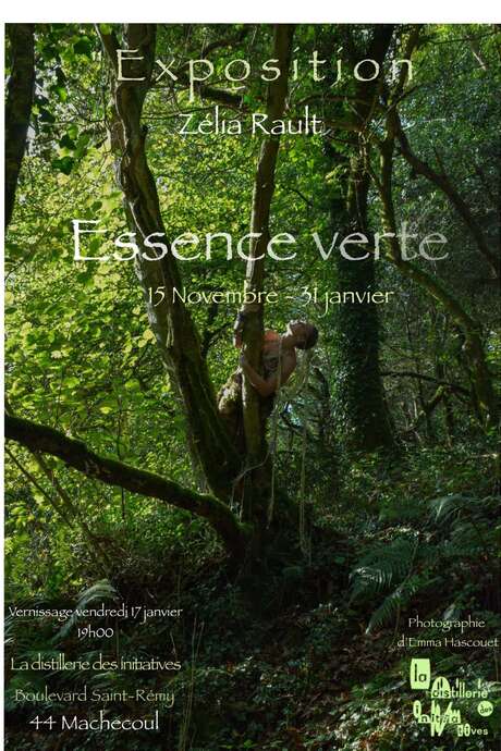 EXPOSITION ESSENCE VERTE