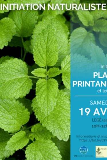 INITIATIONS AUX PLANTES PRINTANIÈRES ET LEURS USAGES