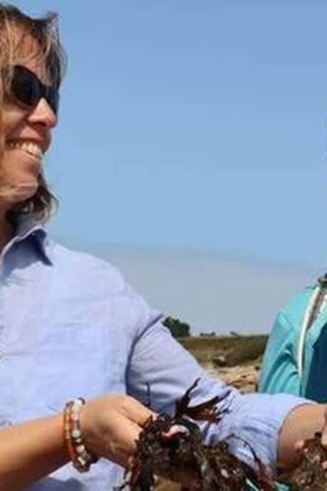 Découverte des algues