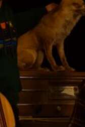 Gabriel Saglio Trio - chanson intimiste