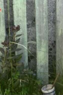 Marie Floury en chansons