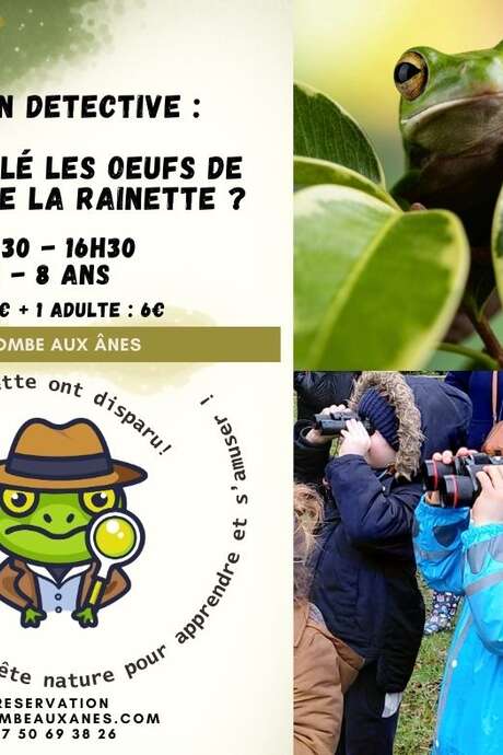 Qui a volé les œufs de Paulette la rainette ?