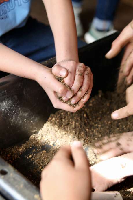 Sème des boules à graines - Atelier créatif enfant