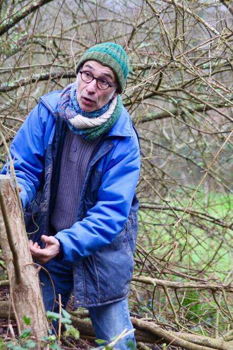 Greffe / Faire ses arbres fruitiers