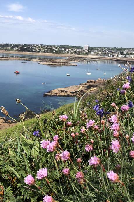 Ile Milliau - Découverte et pique-nique en anglais