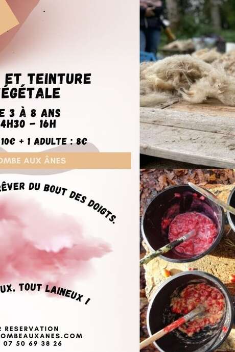 Laine et teinture végétale