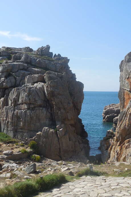 Atelier d'initiation au dessin botanique