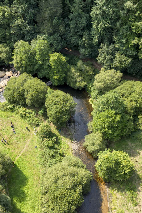 Le fabuleux destin du saumon atlantique
