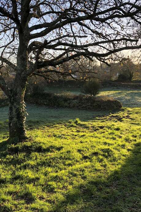 Les secrets du Yaudet, en anglais