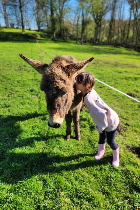 Aventure à la ferme : 3 à 8 ans