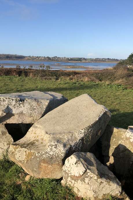 Visite commentée de l'exposition Mégalithes du Trégor - Quand les pierres racontent la (pré)histoire