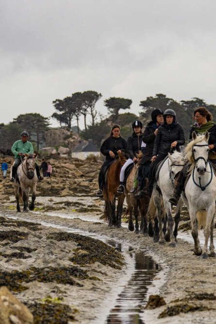 Pardon aux chevaux de Saint Gildas