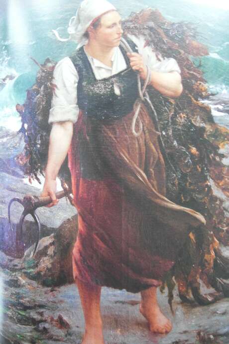 Les algues en Trégor : de la tradition orale à la peinture