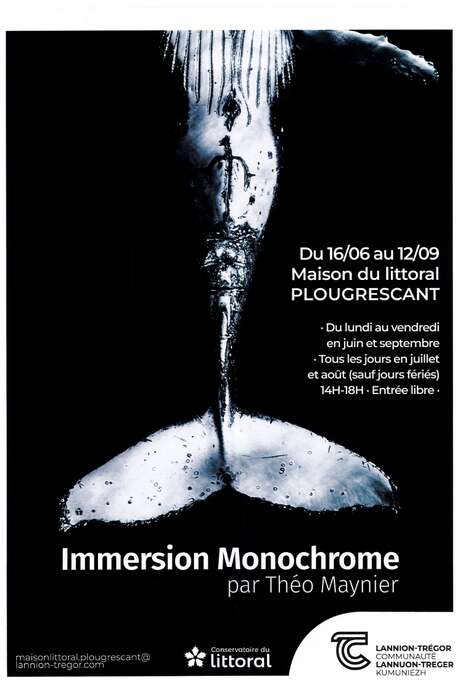 Immersion monochrome - Photographie