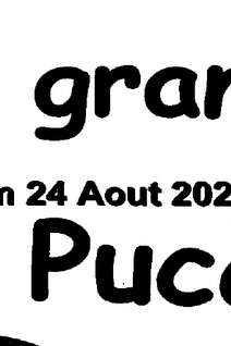 Ty puces - Ile Grande