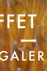 Galerie L'Effet Mer - Photographie