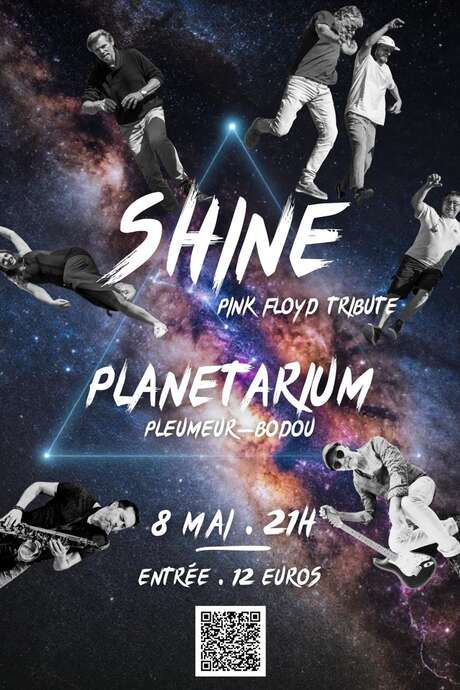Shine - Pink Floyd Tribute