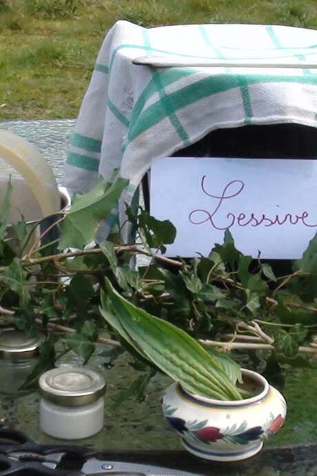 Atelier herboristerie - Léguer en fête