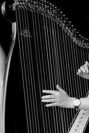 Les musicales du dimanche