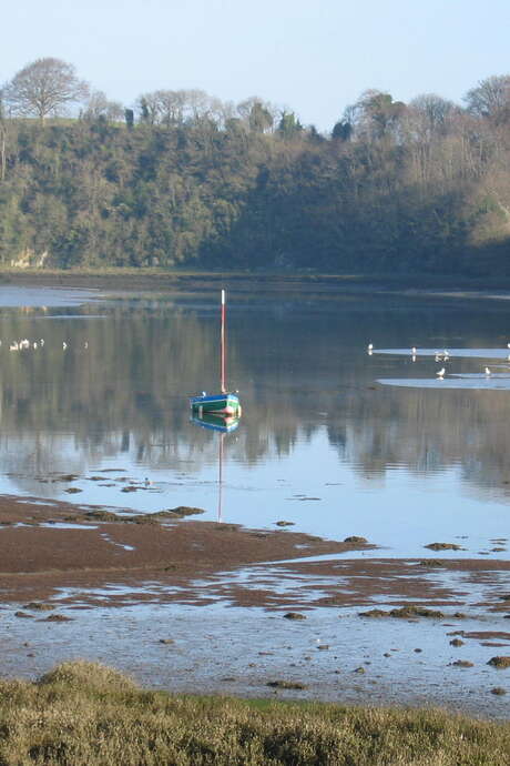 Journée mondiale des zones humides - Les oiseaux de l'estuaire du Bizien